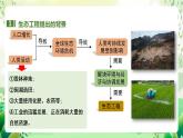 人教版高中生物选择性必修二4.3《生态工程》课件+教案+分层作业+导学案
