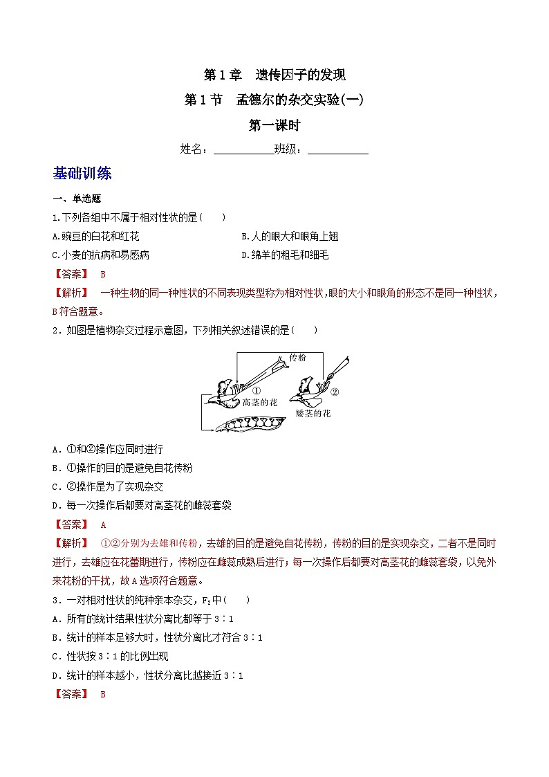 人教版高中生物必修二1.1《孟德尔的豌豆杂交实验(一)》（第1课时）（分层作业）（解析版）第1页