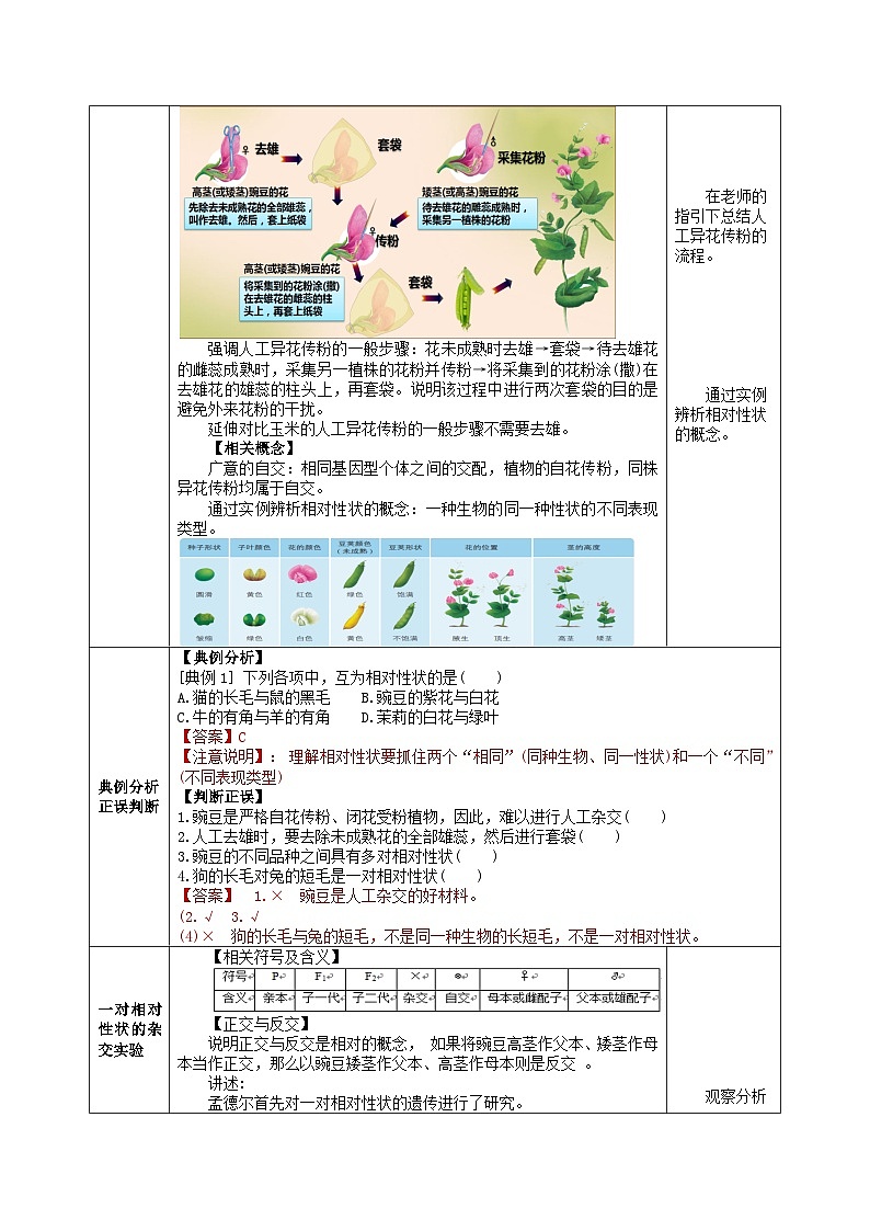 人教版高中生物必修二1.1《孟德尔的豌豆杂交实验(一)》（教学设计）第3页