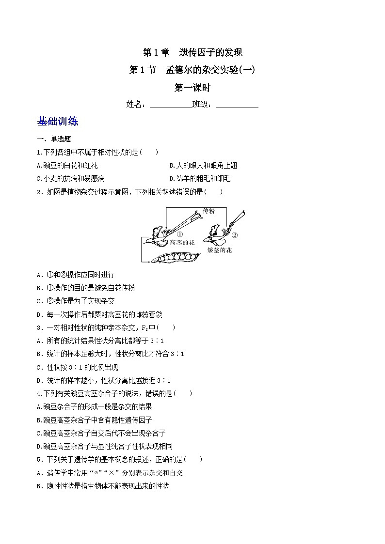 人教版高中生物必修二1.1《孟德尔的豌豆杂交实验(一)》（第1课时）（分层作业）（原卷版）第1页