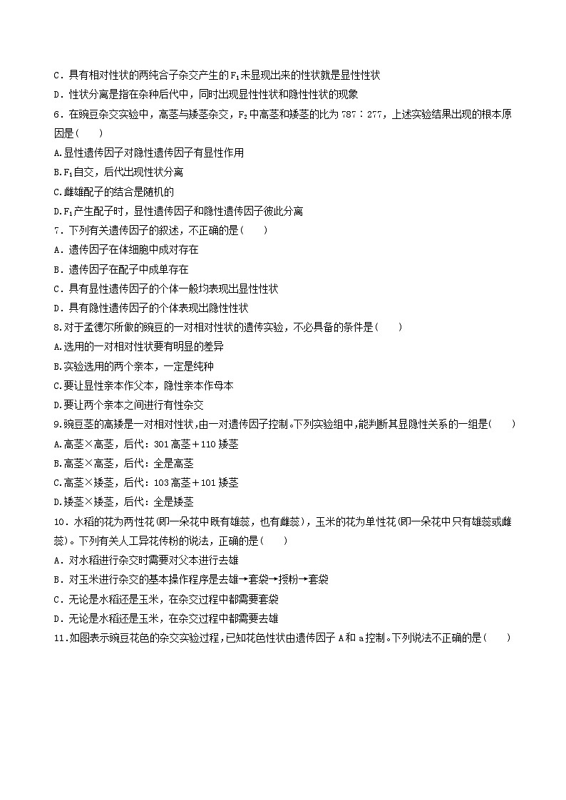 人教版高中生物必修二1.1《孟德尔的豌豆杂交实验(一)》（第1课时）（分层作业）（原卷版）第2页