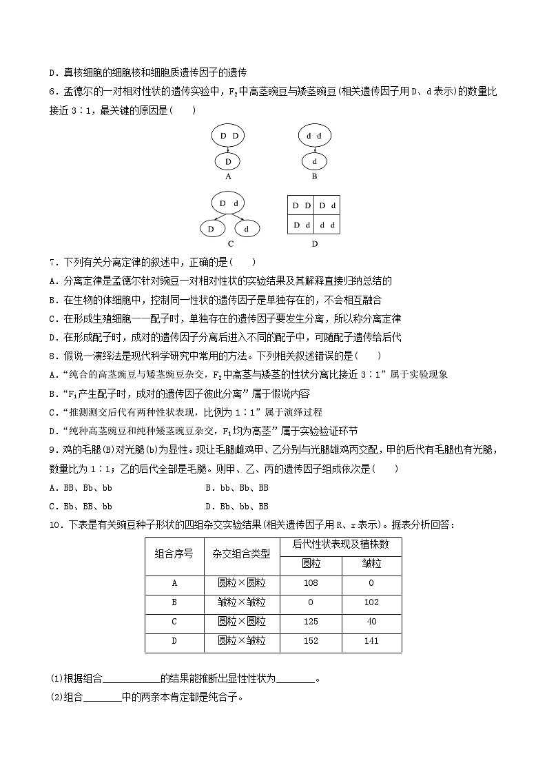 人教版高中生物必修二1.1《孟德尔的豌豆杂交实验(一)》（第2课时）（分层作业）（原卷版）第2页