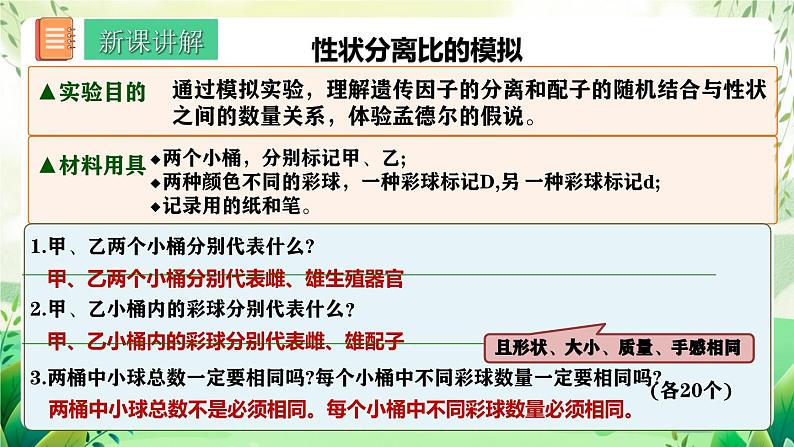 人教版高中生物必修二1.1《孟德尔的豌豆杂交实验(一)》（第2课时）（教学课件）第4页