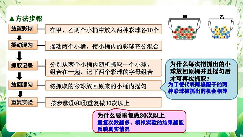 人教版高中生物必修二1.1《孟德尔的豌豆杂交实验(一)》（第2课时）（教学课件）第6页