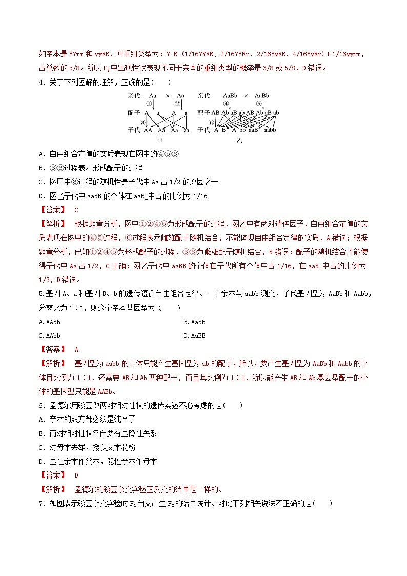 人教版高中生物必修二1.2《孟德尔的豌豆杂交实验(二)》（第1课时）（分层作业）（解析版）第2页