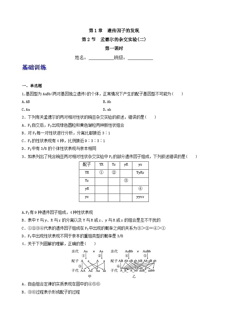 人教版高中生物必修二1.2《孟德尔的豌豆杂交实验(二)》（第1课时）（分层作业）（原卷版）第1页