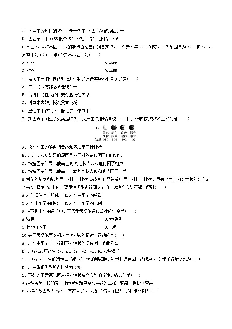 人教版高中生物必修二1.2《孟德尔的豌豆杂交实验(二)》（第1课时）（分层作业）（原卷版）第2页