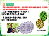 人教版高中生物必修二1.2《孟德尔的豌豆杂交实验(二)》（第1课时）课件+教案+分层练习+导学案