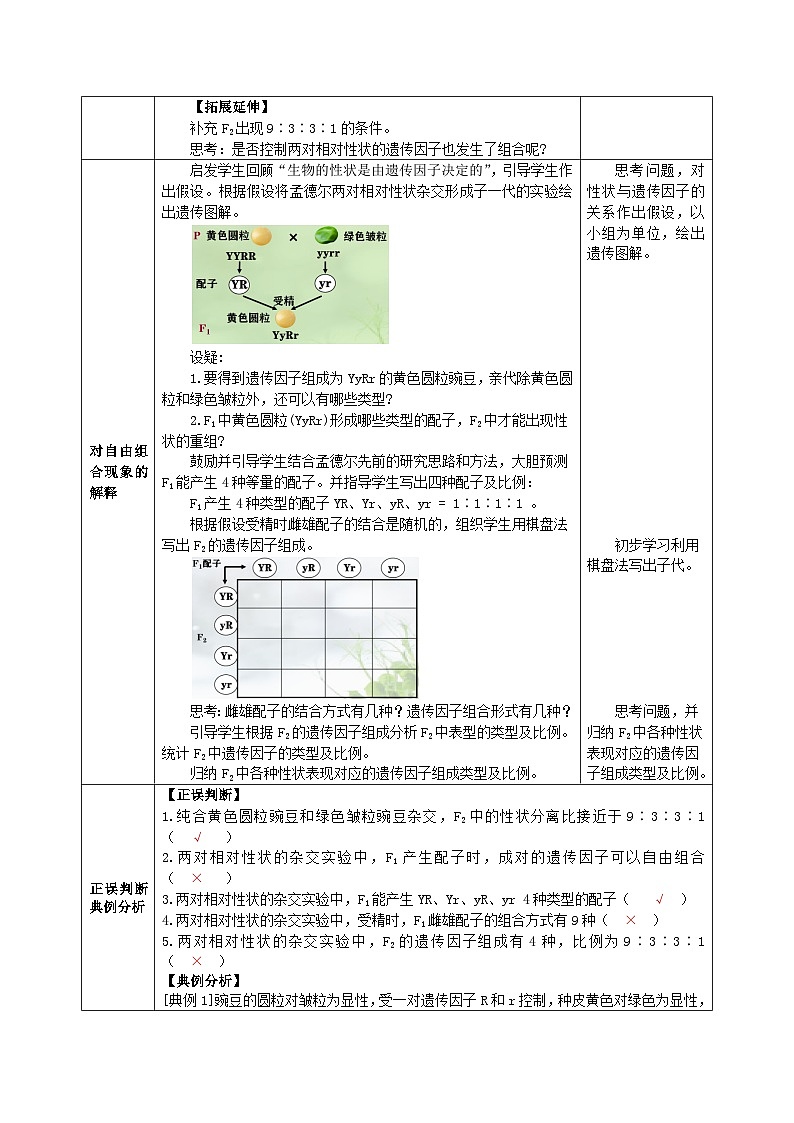 人教版高中生物必修二1.2《孟德尔的豌豆杂交实验(二)》（教学设计）第3页