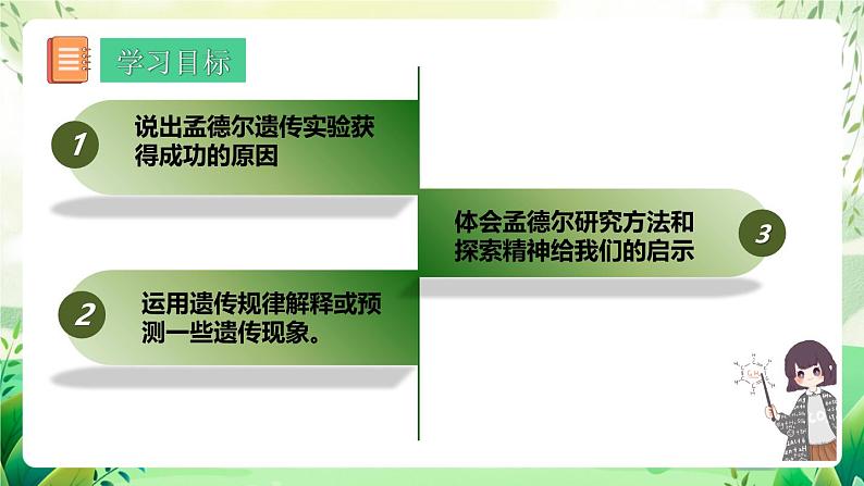 人教版高中生物必修二1.2《孟德尔的豌豆杂交实验(二)》（第2课时）（教学课件）第2页