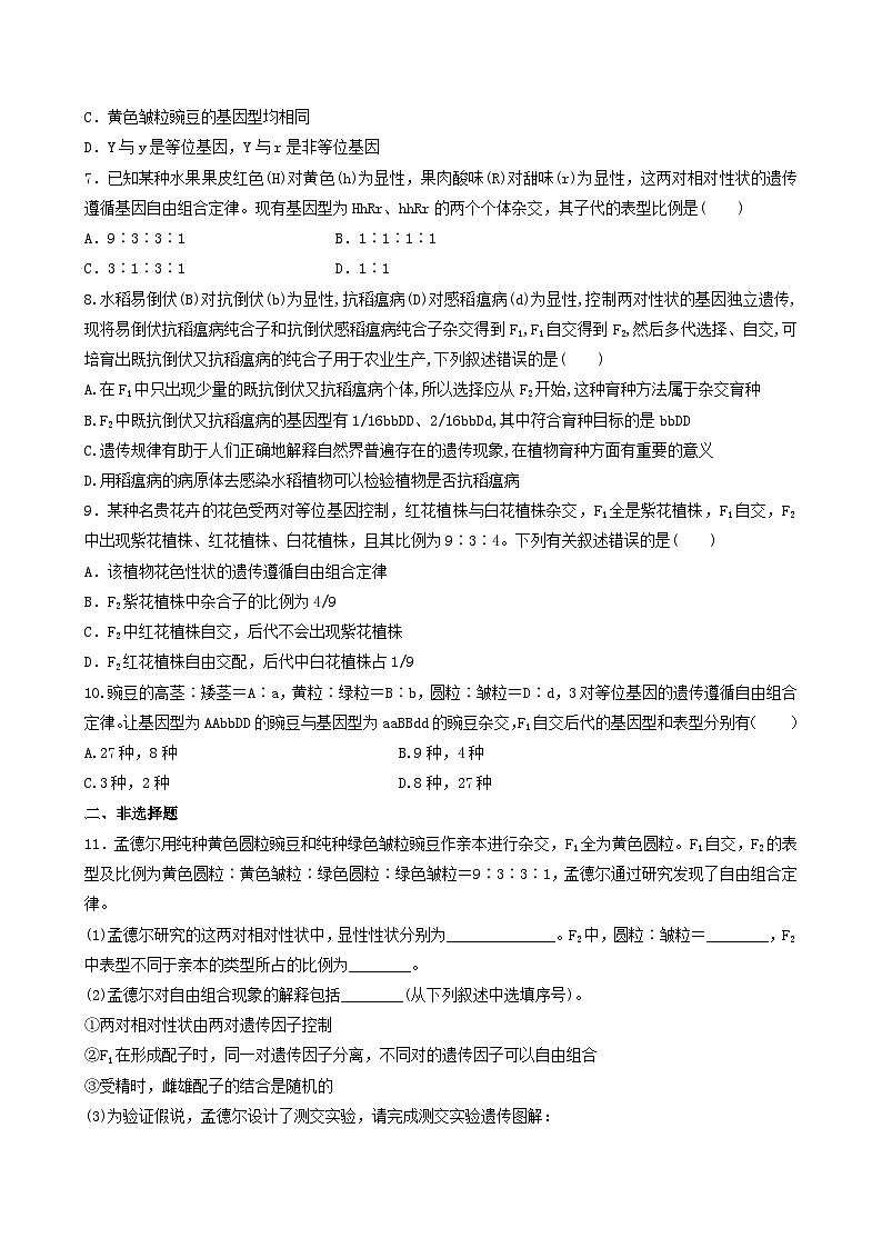 人教版高中生物必修二1.2《孟德尔的豌豆杂交实验(二)》（第2课时）（分层作业）（原卷版）第2页