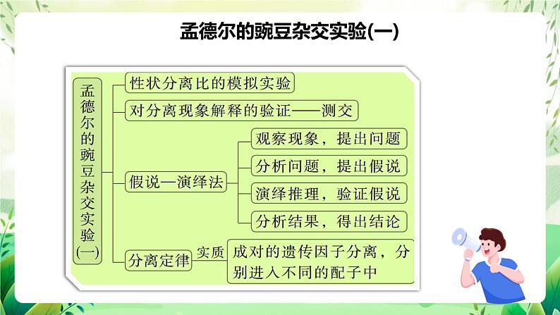 人教版高中生物必修二第1章《遗传因子的发现》（单元复习课件）第3页