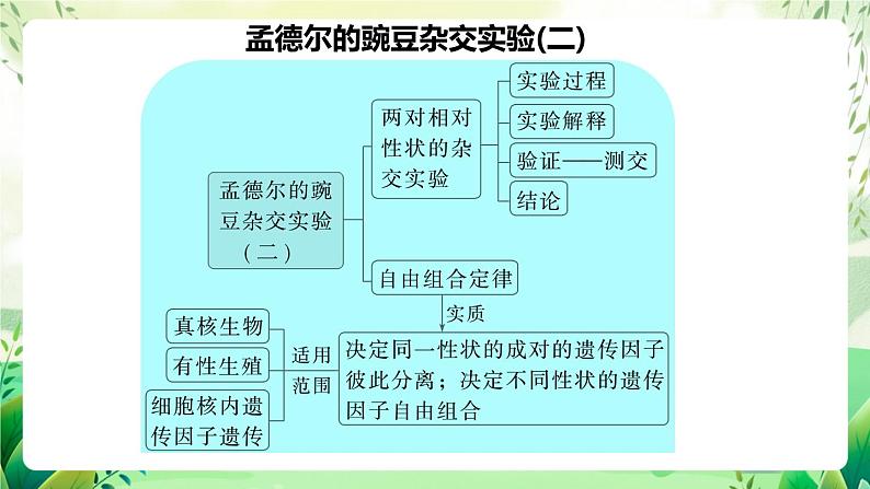 人教版高中生物必修二第1章《遗传因子的发现》（单元复习课件）第4页