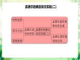 人教版高中生物必修二第1章《遗传因子的发现》单元复习课件+单元解读课件+知识清单+单元测试