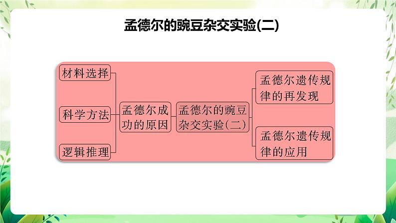 人教版高中生物必修二第1章《遗传因子的发现》（单元复习课件）第5页