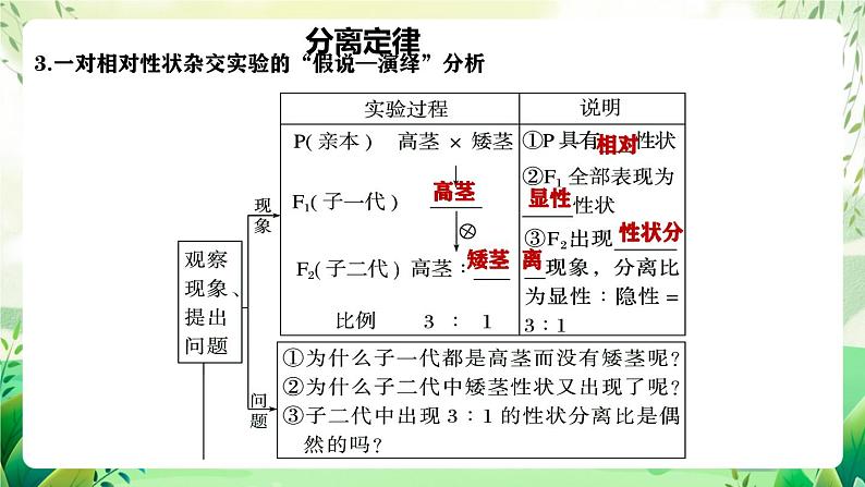 人教版高中生物必修二第1章《遗传因子的发现》（单元复习课件）第8页