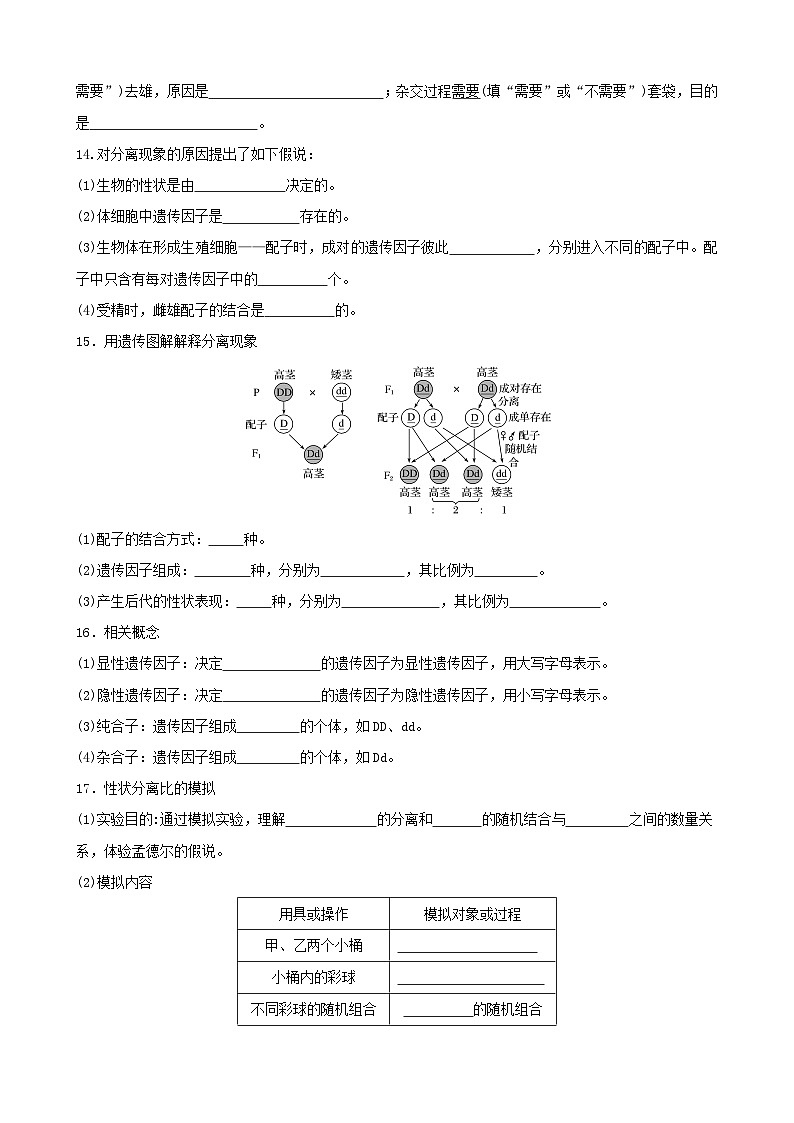 人教版高中生物必修二第1章《遗传因子的发现》（单元知识清单）（默写版）第2页