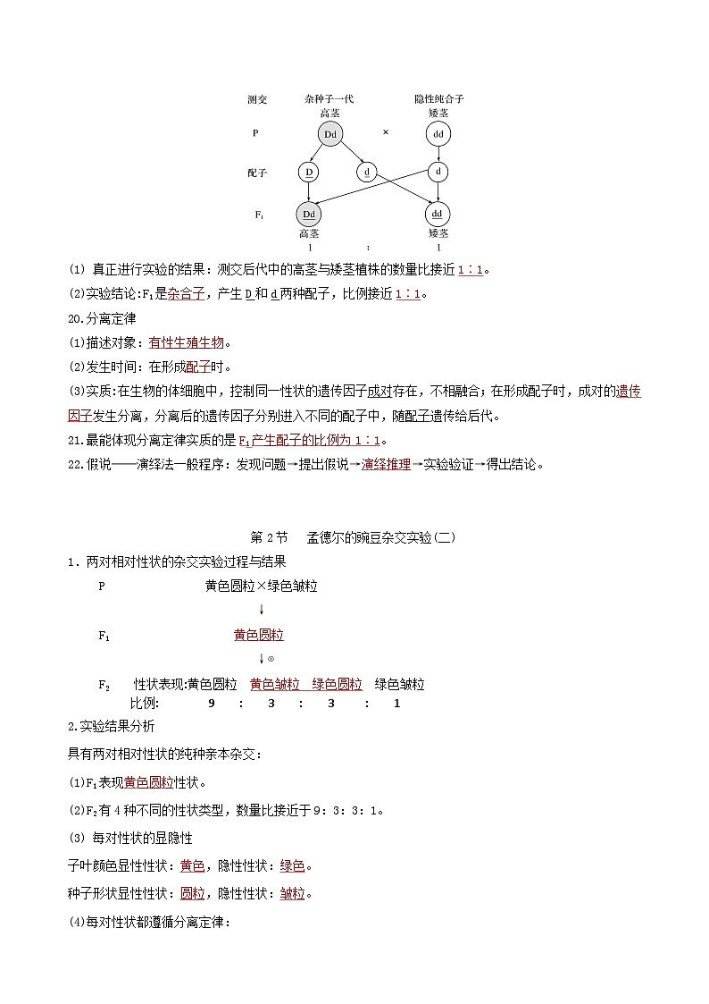 人教版高中生物必修二第1章《遗传因子的发现》（单元知识清单）（背诵版）第3页