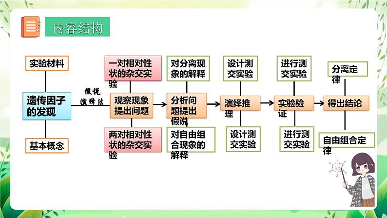 人教版高中生物必修二第1章《遗传因子的发现》（单元解读课件）第8页