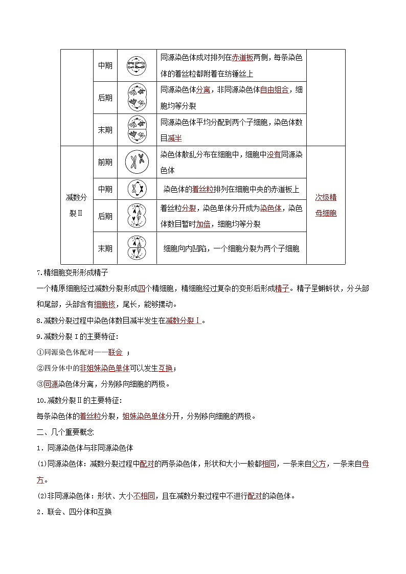 人教版高中生物必修二2.1.1《减数分裂》（第1课时）（导学案）（解析版）第3页
