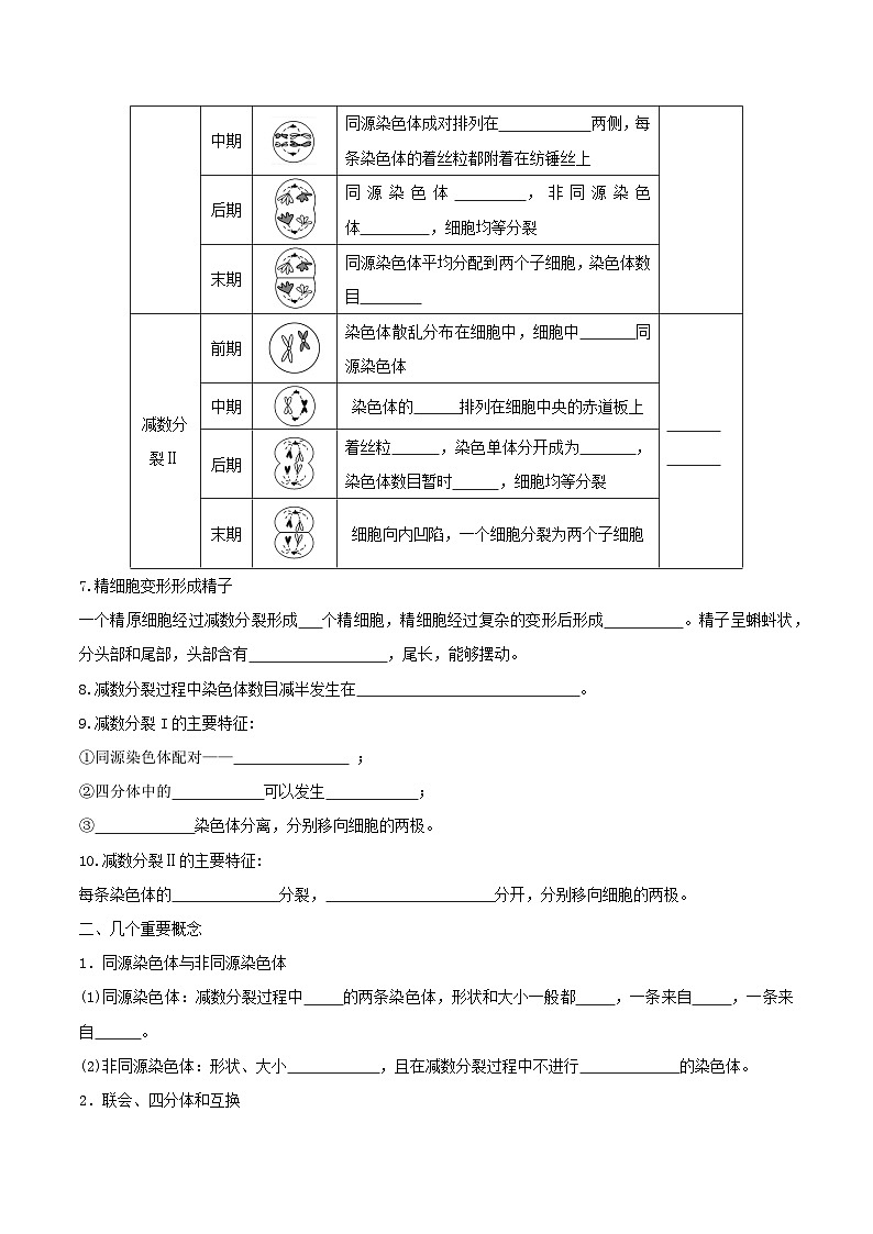 人教版高中生物必修二2.1.1《减数分裂》（第1课时）（导学案）（原卷版）第3页