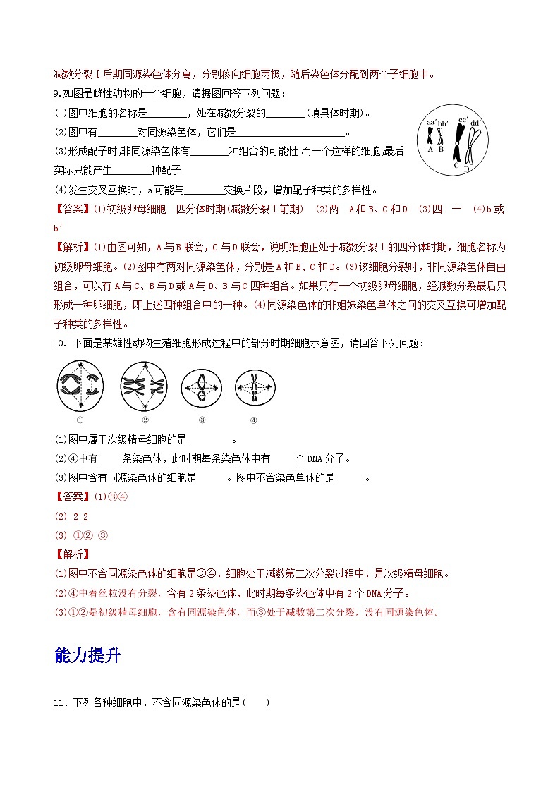 人教版高中生物必修二2.1.1《减数分裂》（第1课时）（分层作业）（解析版）第3页