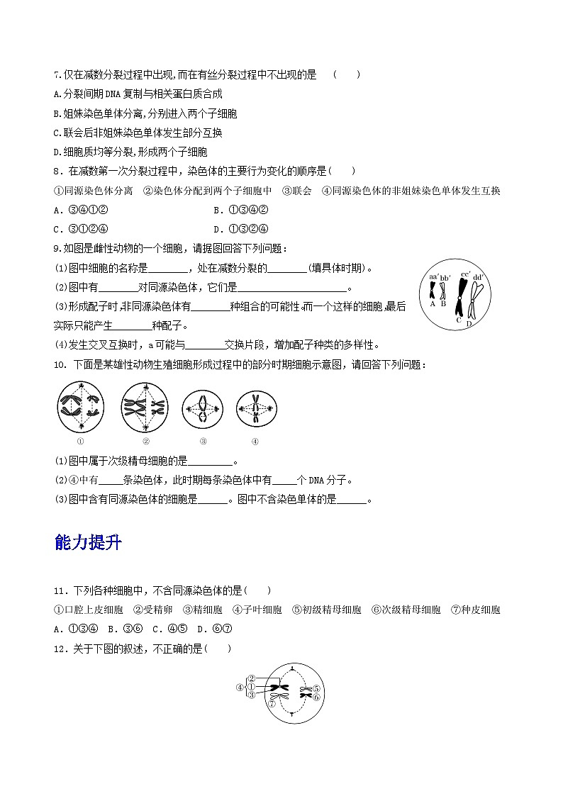 人教版高中生物必修二2.1.1《减数分裂》（第1课时）（分层作业）（原卷版）第2页