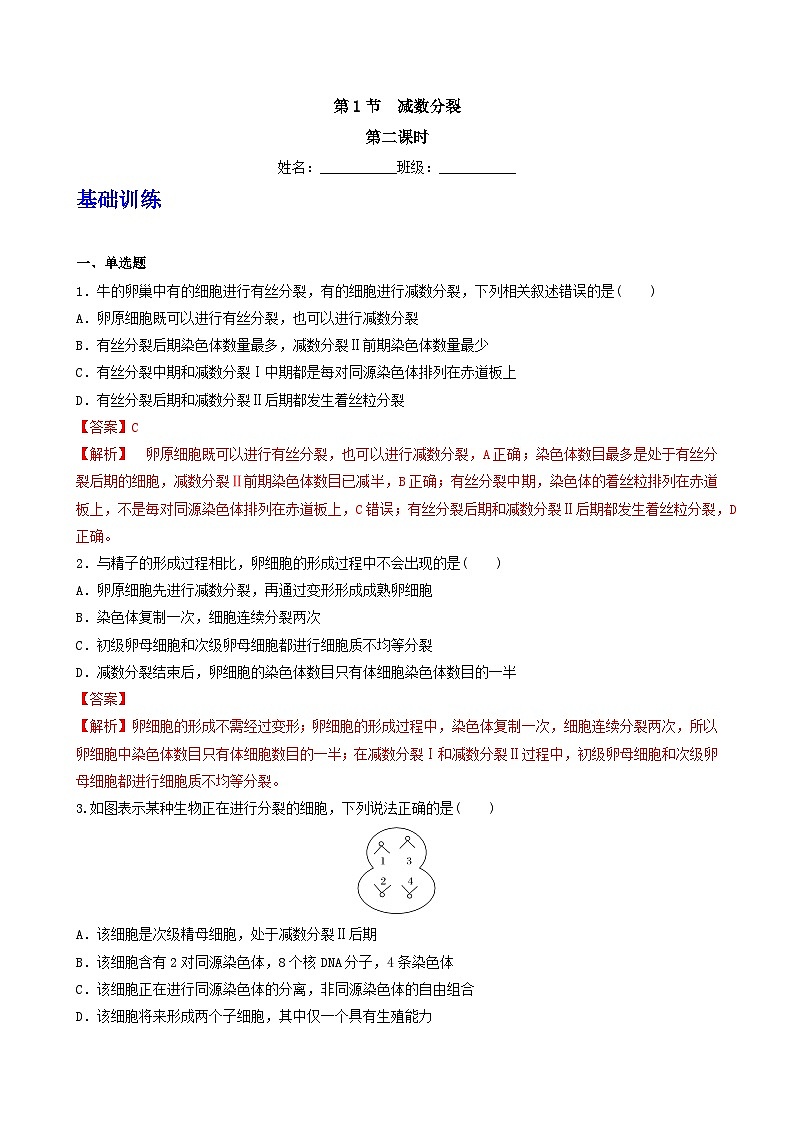 人教版高中生物必修二2.1.1《减数分裂》（第2课时）（分层作业）（解析版）第1页