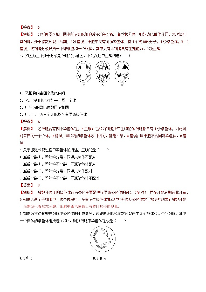 人教版高中生物必修二2.1.1《减数分裂》（第2课时）（分层作业）（解析版）第2页