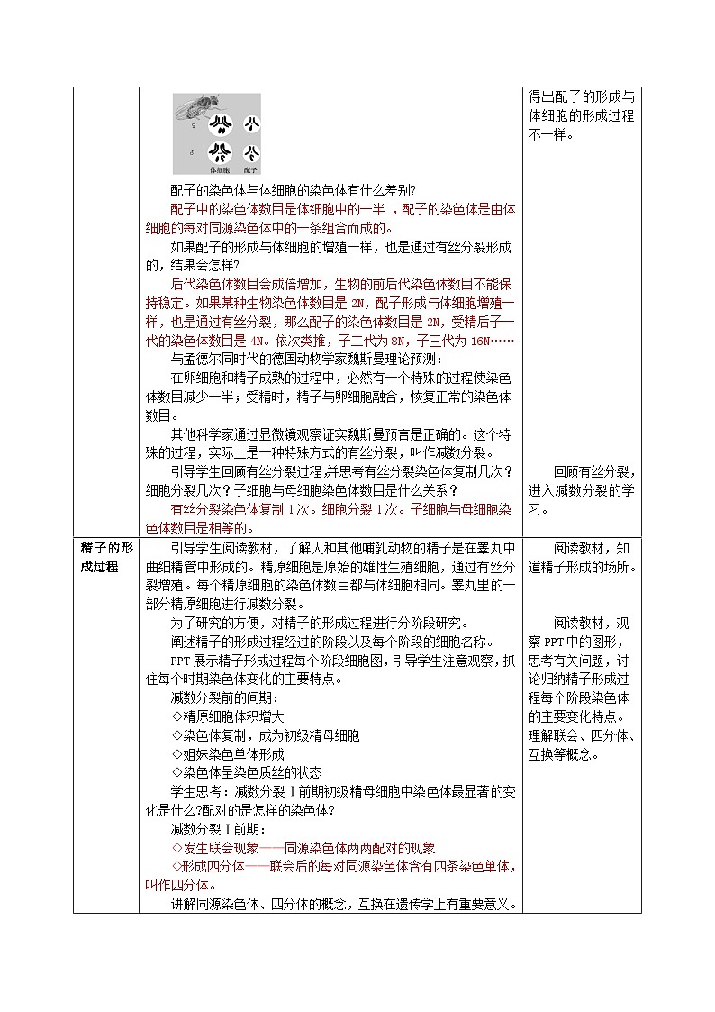 人教版高中生物必修二2.1.1《减数分裂》（教学设计）第2页