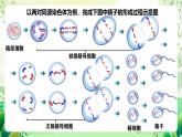 人教版高中生物必修二2.1.1《减数分裂》（第2课时）课件+教案+分层练习+导学案