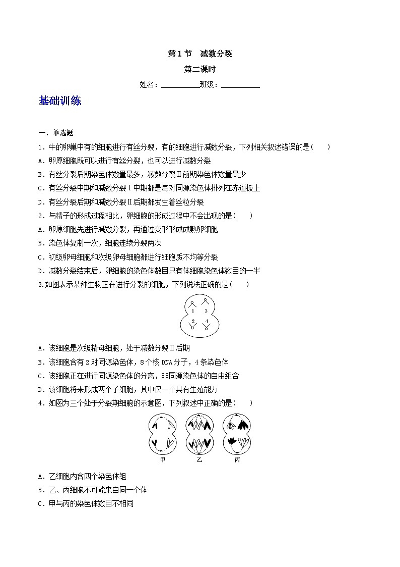 人教版高中生物必修二2.1.1《减数分裂》（第2课时）（分层作业）（原卷版）第1页