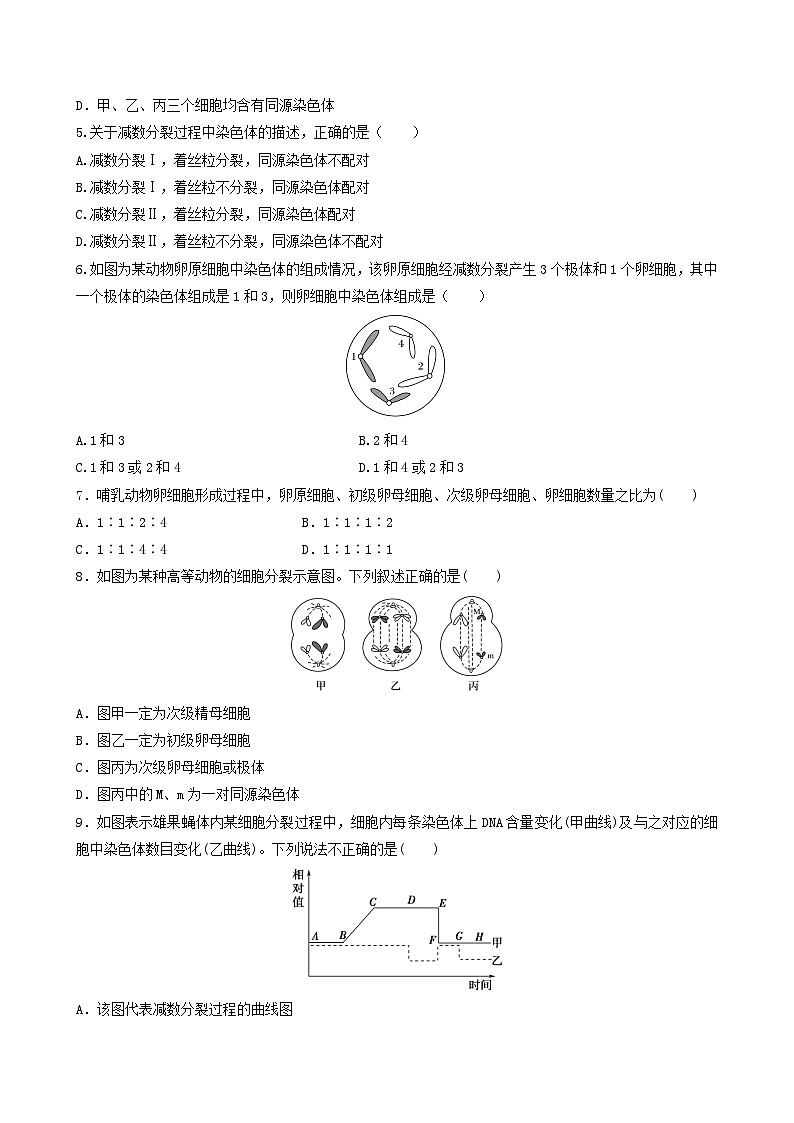 人教版高中生物必修二2.1.1《减数分裂》（第2课时）（分层作业）（原卷版）第2页