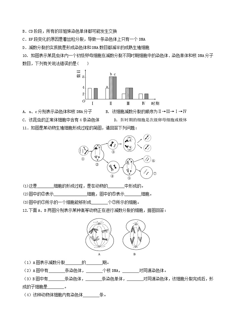 人教版高中生物必修二2.1.1《减数分裂》（第2课时）（分层作业）（原卷版）第3页