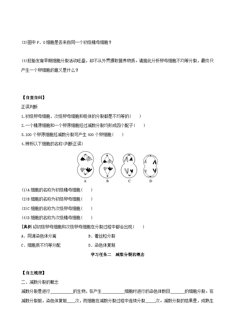 人教版高中生物必修二2.1.1《减数分裂》（第2课时）（导学案）（原卷版）第3页