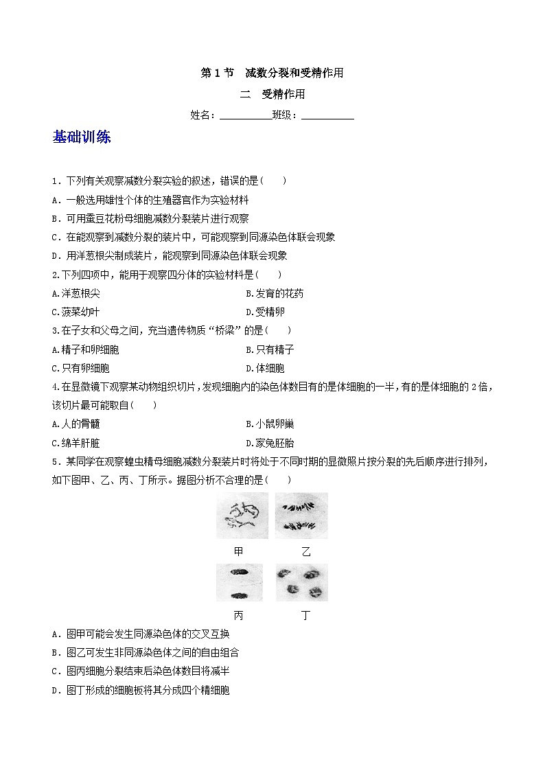 人教版高中生物必修二2.1.2《受精作用》（分层作业）（原卷版）第1页