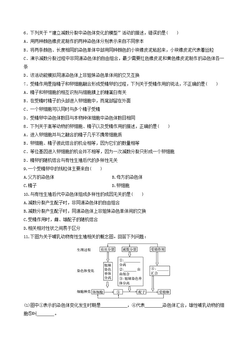 人教版高中生物必修二2.1.2《受精作用》（分层作业）（原卷版）第2页