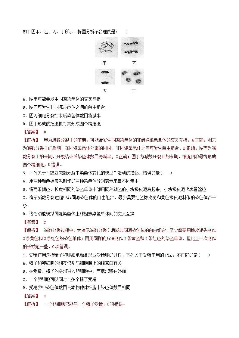 人教版高中生物必修二2.1.2《受精作用》（分层作业）（解析版）第2页