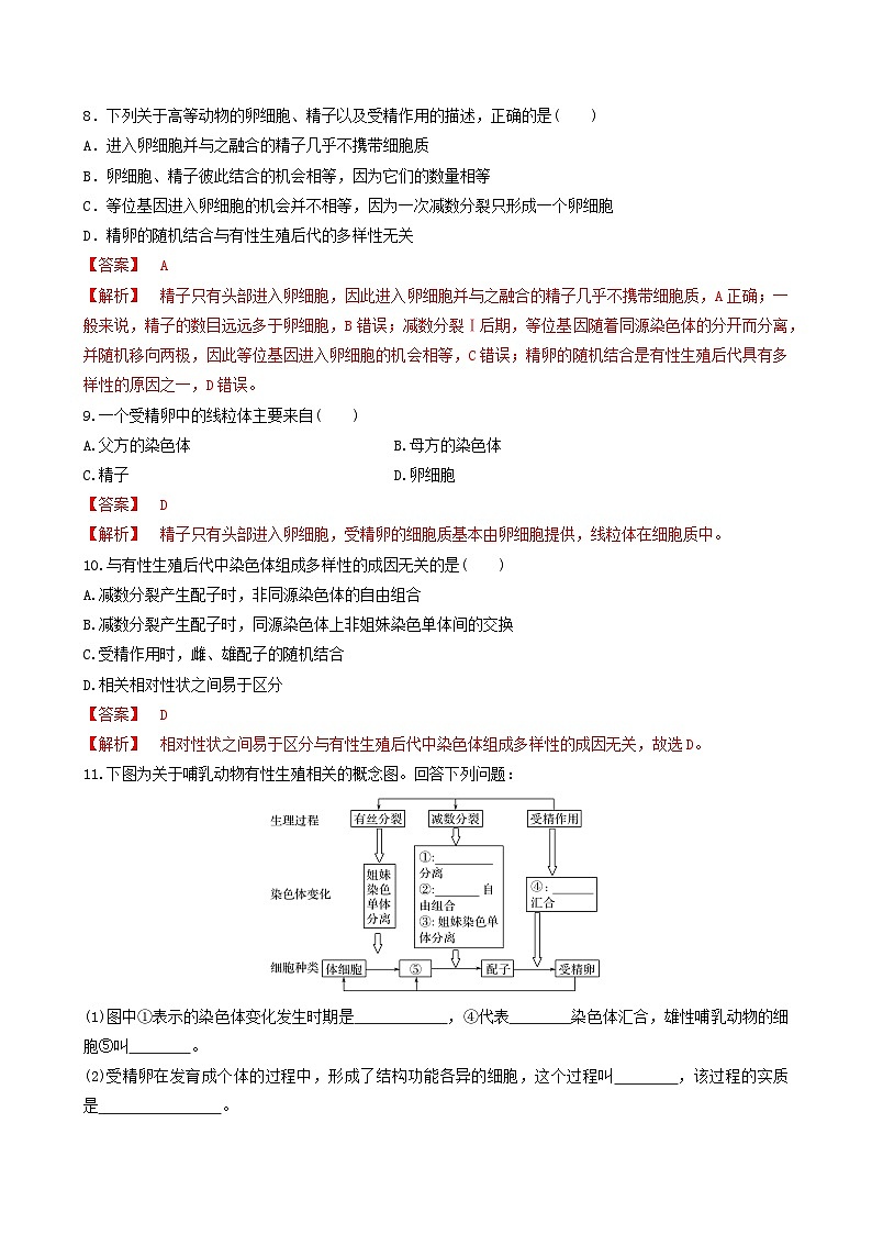 人教版高中生物必修二2.1.2《受精作用》（分层作业）（解析版）第3页
