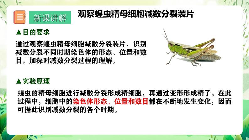 人教版高中生物必修二2.1.2《受精作用》（教学课件）第3页