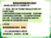 人教版高中生物必修二2.1.2《受精作用》课件+教案+分层练习+导学案