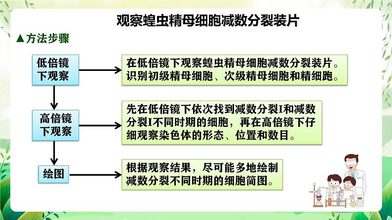 人教版高中生物必修二2.1.2《受精作用》（教学课件）第6页