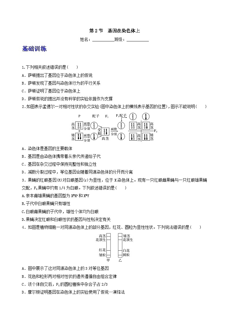 人教版高中生物必修二2.2《基因在染色体上》（分层作业）（原卷版）第1页