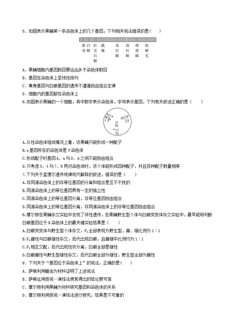 人教版高中生物必修二2.2《基因在染色体上》（分层作业）（原卷版）第2页