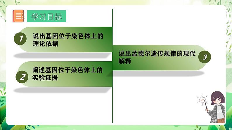 人教版高中生物必修二2.2《基因在染色体上》（教学课件）第2页