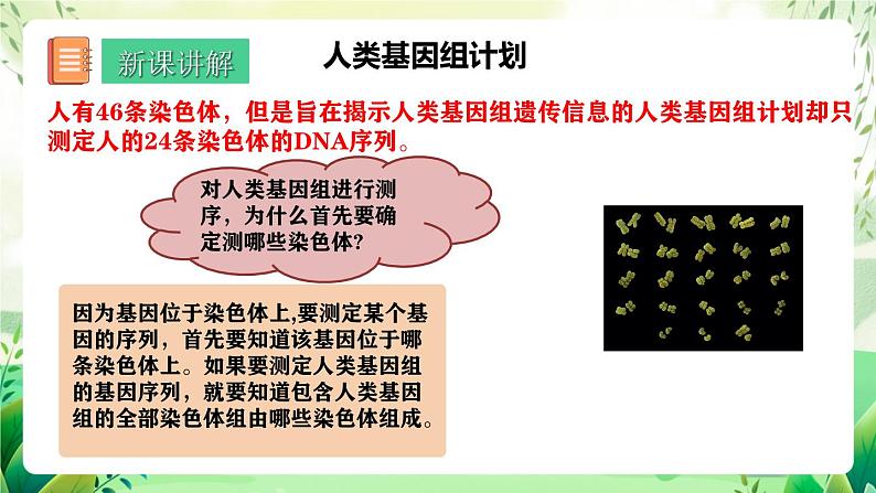 人教版高中生物必修二2.2《基因在染色体上》（教学课件）第4页