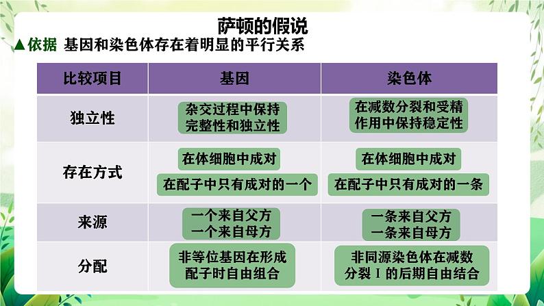 人教版高中生物必修二2.2《基因在染色体上》（教学课件）第8页