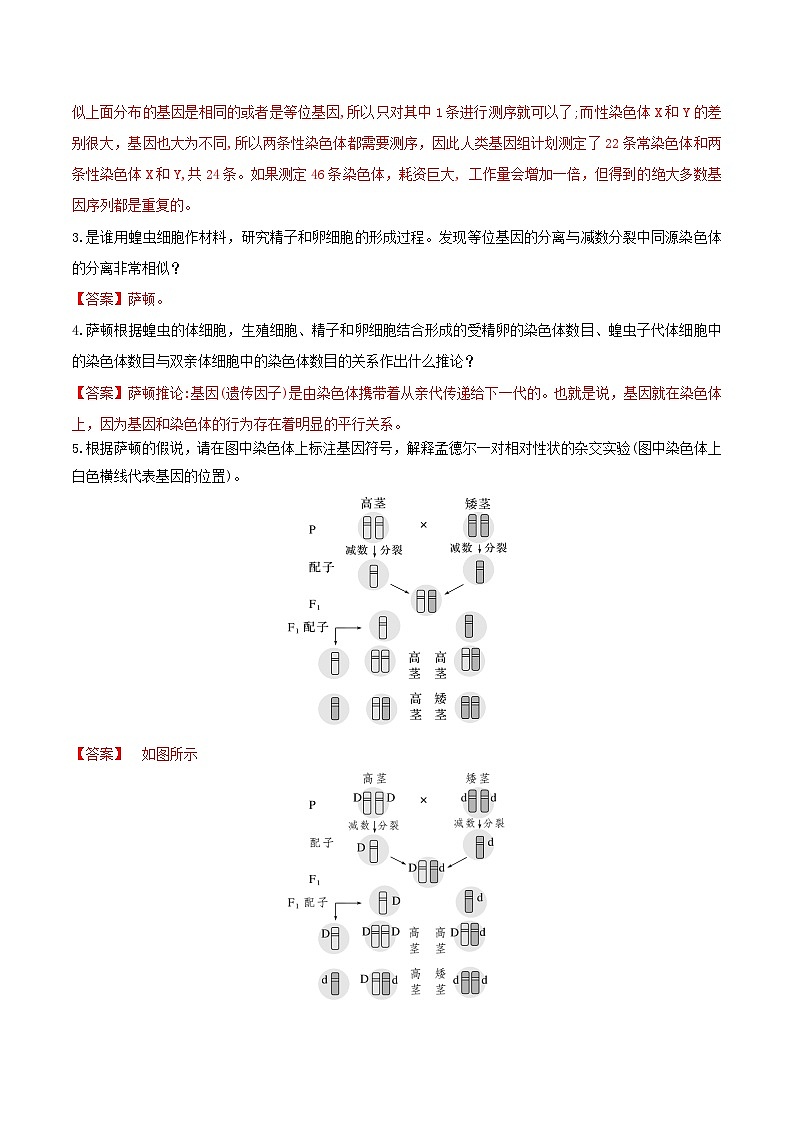 人教版高中生物必修二2.2《基因在染色体上》（导学案）（解析版）第2页