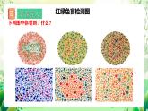 人教版高中生物必修二2.3《伴性遗传》课件+教案+分层练习+导学案