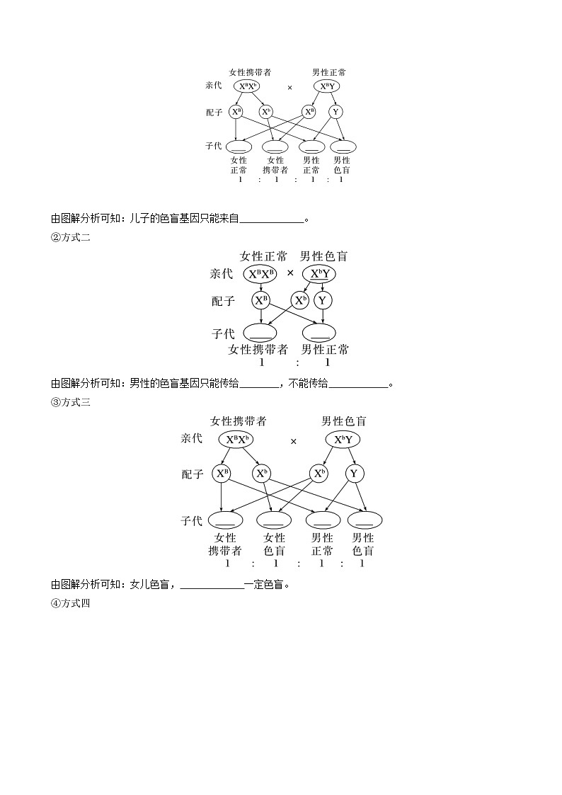 人教版高中生物必修二2.3《伴性遗传》（导学案）（原卷版）第2页